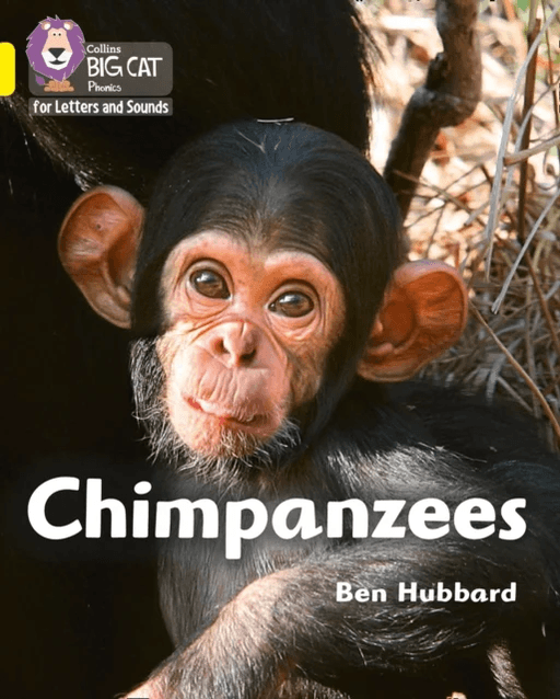 Chimpanzees av Ben Hubbard