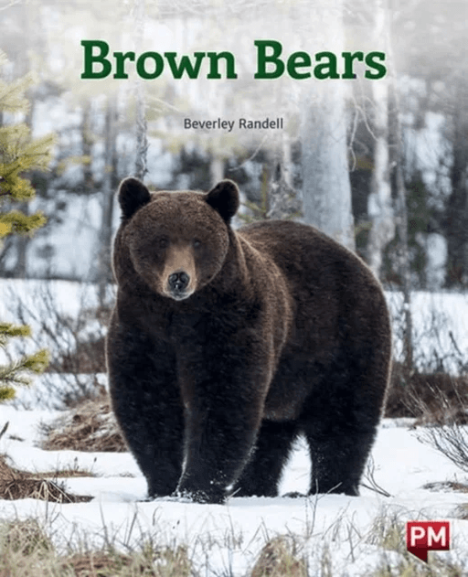 BROWN BEARS av Beverley Randell