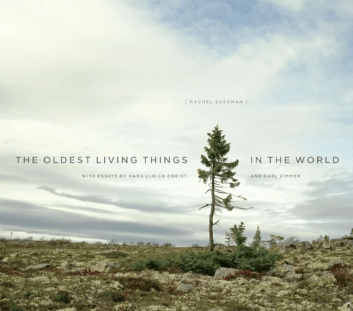 The Oldest Living Things in the World av Rachel Sussman