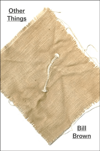 Other Things av Bill Brown