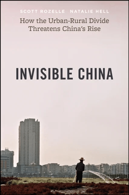 The Invisible China av Scott Rozelle, Natalie Hell