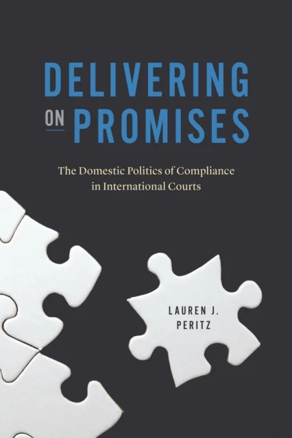 Delivering on Promises av Lauren J. Peritz