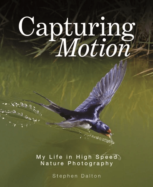 Capturing Motion: My Life in High Speed Nature Photography av Stephen Dalton