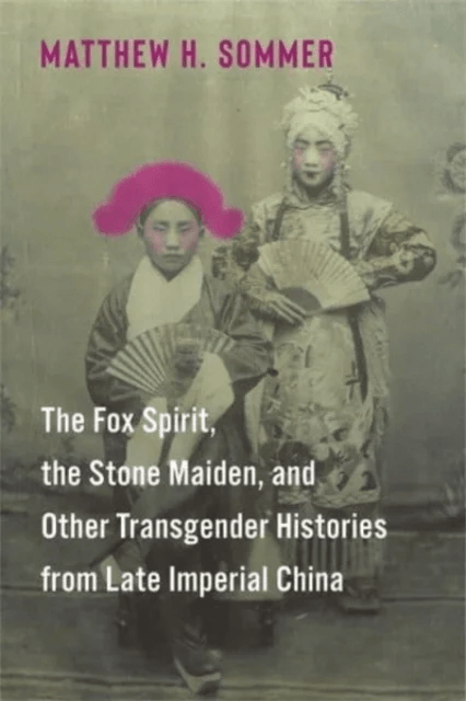 The Fox Spirit, the Stone Maiden, and Other Transgender Histories from Late Imperial China av Matthew H. Sommer