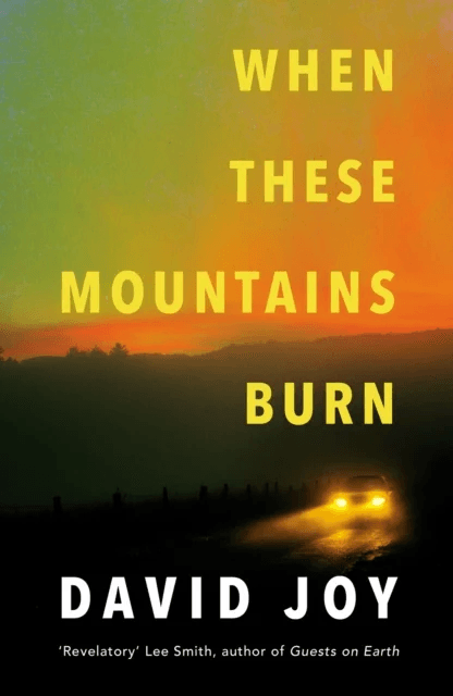 When These Mountains Burn av David Joy