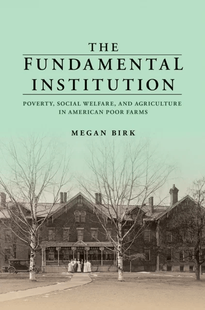 The Fundamental Institution av Megan Birk