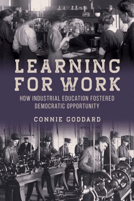 Learning for Work av Connie Goddard