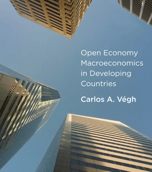 Open Economy Macroeconomics in Developing Countries av Carlos A. Vegh