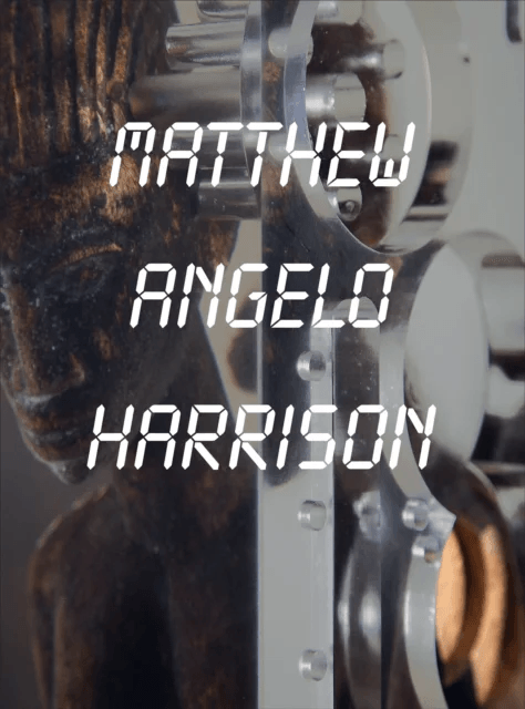 Matthew Angelo Harrison av Natalie Bell, Elena Filipovic