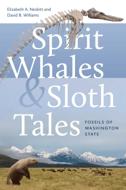 Spirit Whales and Sloth Tales av Elizabeth A. Nesbitt, David B. Williams