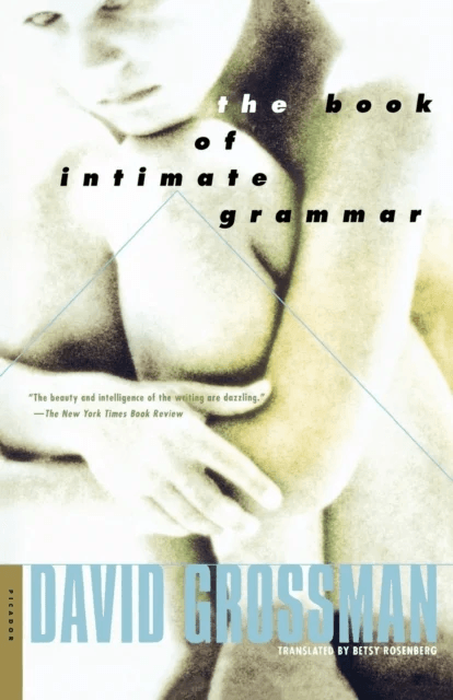 The Book of Intimate Grammar av David Grossman, Beotsi Rozenberg