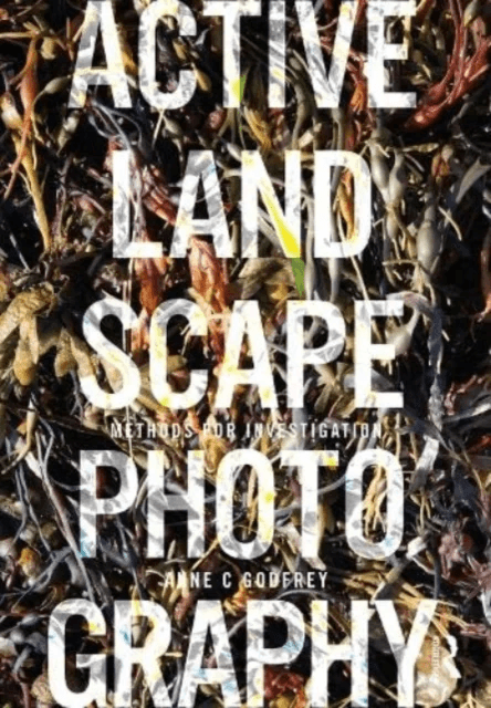 Active Landscape Photography av Anne (State University of New York USA) Godfrey