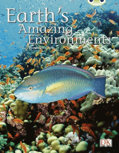 Bug Club Independent Non-Fiction Year Two White A - Earth's Amazing Environments av Elizabeth Corfe