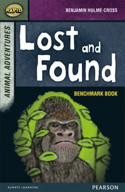 Rapid Stage 7 Assessment book: Lost and Found av Dee Reid, Benjamin Hulme-Cross