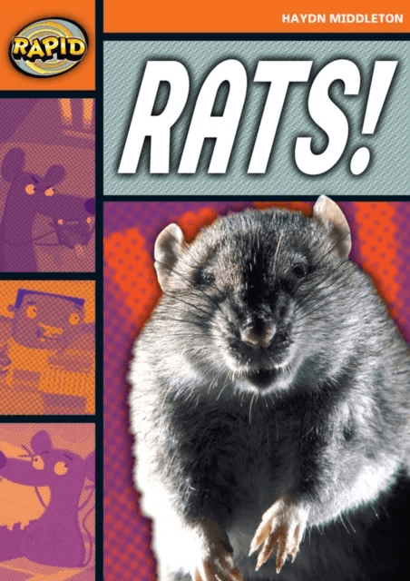 Rapid Reading: Rats! (Stage 4, Level 4B) av Haydn Middleton