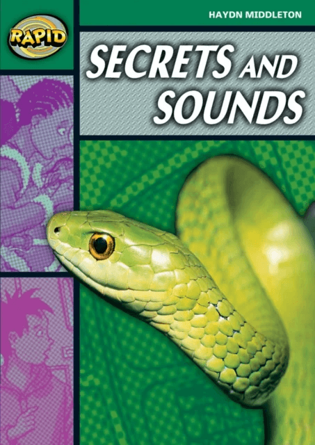 Rapid Reading: Secrets &amp; Sounds (Stage 5, Level 5B) av Haydn Middleton