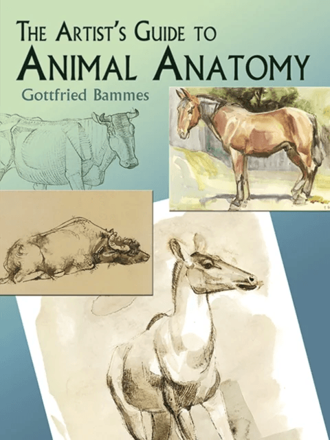 The Artist's Guide to Animal Anatomy av Gottfried Bammes, Jeff a Menges