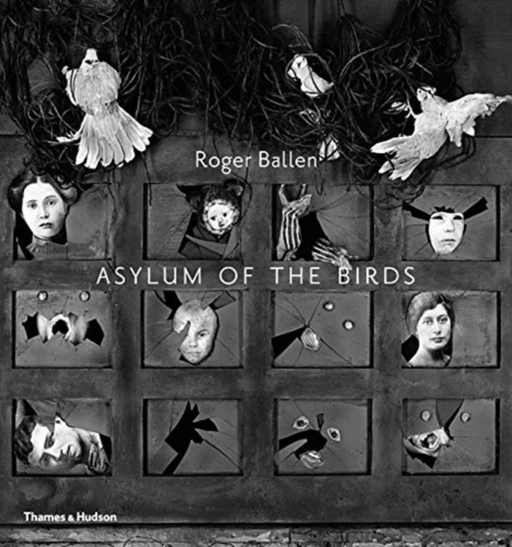 Asylum of the Birds av Roger Ballen