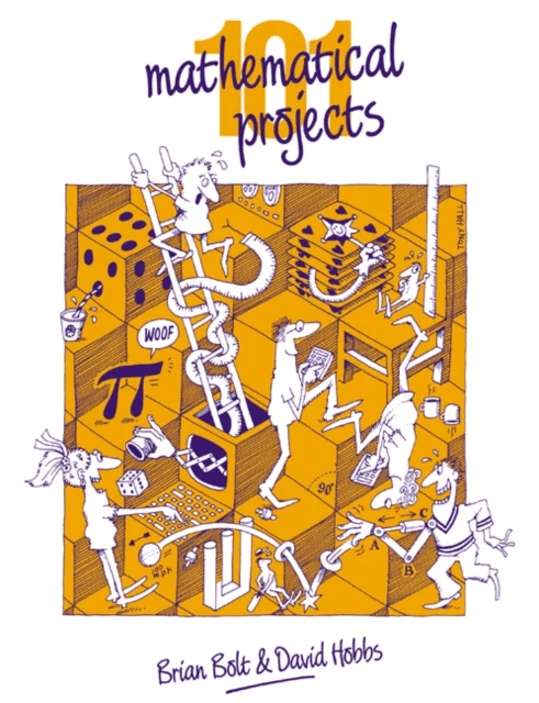 101 Mathematical Projects av Brian Bolt, David Hobbs