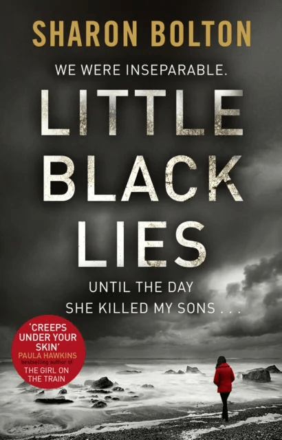Little Black Lies av Sharon Bolton