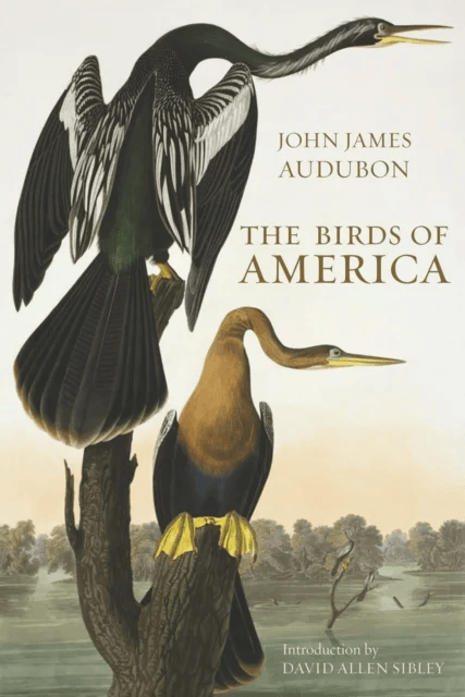 The Birds of America av John James Audubon