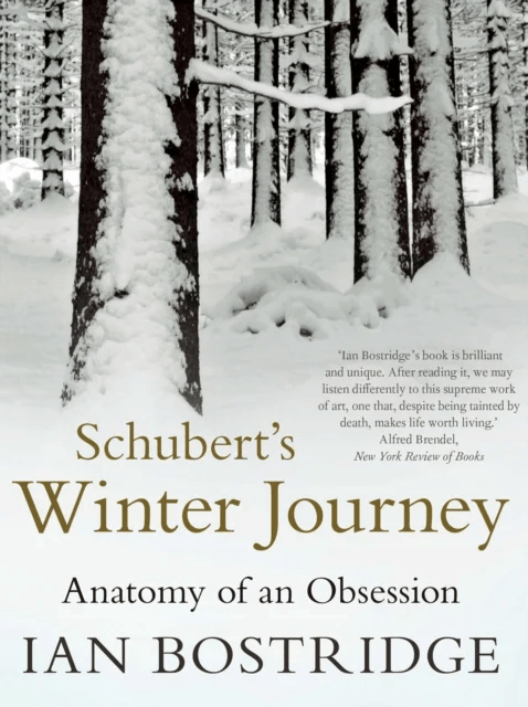Schubert's Winter Journey av Dr Ian CBE (Author) Bostridge