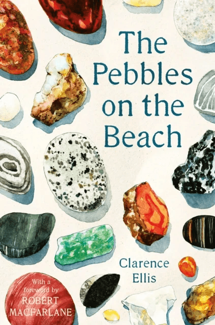 The Pebbles on the Beach av Clarence Ellis
