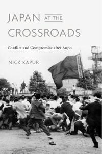 Japan at the Crossroads av Nick Kapur