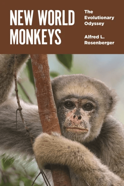 New World Monkeys av Alfred L. Rosenberger