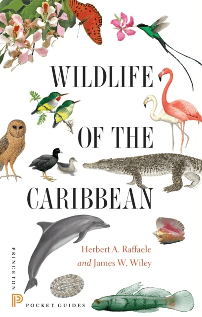 Wildlife of the Caribbean av Herbert A. Raffaele, James Wiley