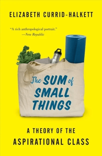 The Sum of Small Things av Elizabeth Currid-Halkett