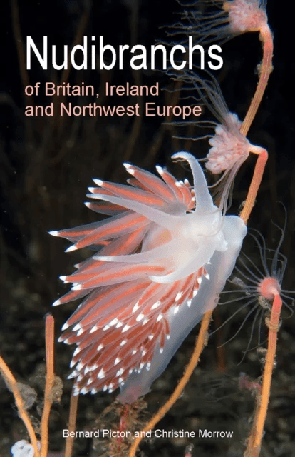 Nudibranchs of Britain, Ireland and Northwest Europe av Bernard Picton, Christine Morrow