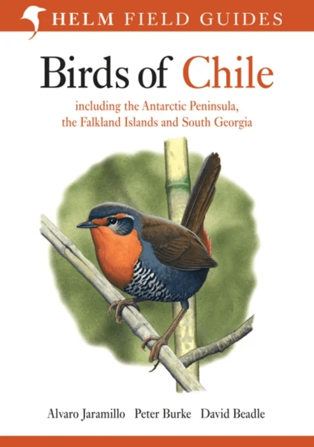 Birds of Chile av Alvaro Jaramillo