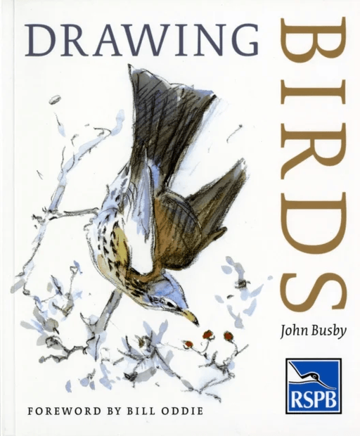 Drawing Birds av John Busby