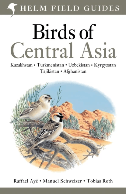 Birds of Central Asia av Raffael Aye, Manuel Schweizer, Tobias Roth