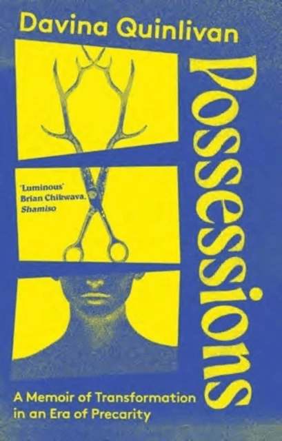 Possessions av Davina Quinlivan
