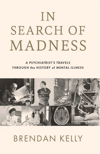 In Search of Madness av Brendan Kelly
