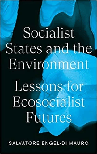 Socialist States and the Environment av Salvatore Engel-Di Mauro