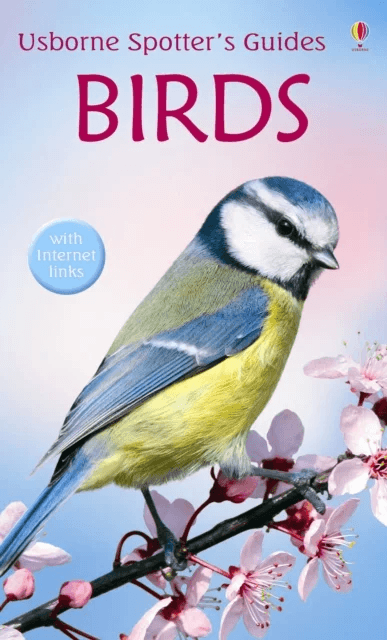 Birds av Peter Holden