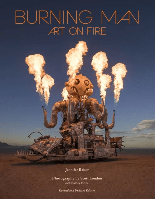 Burning Man: Art on Fire av Jennifer Raiser