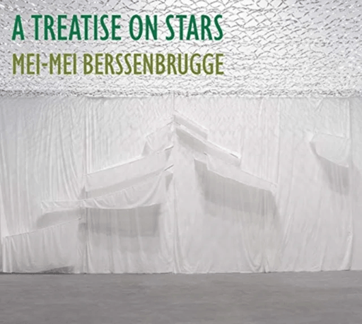 A Treatise on Stars av Mei-Mei (New Directions) Berssenbrugge