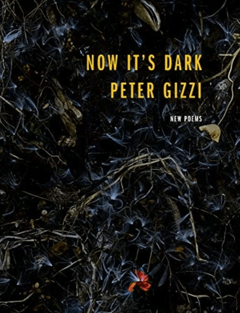 Now It's Dark av Peter Gizzi