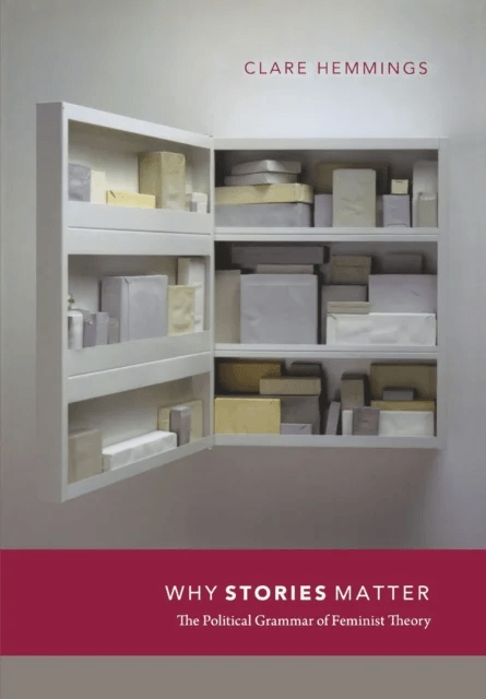 Why Stories Matter av Clare Hemmings