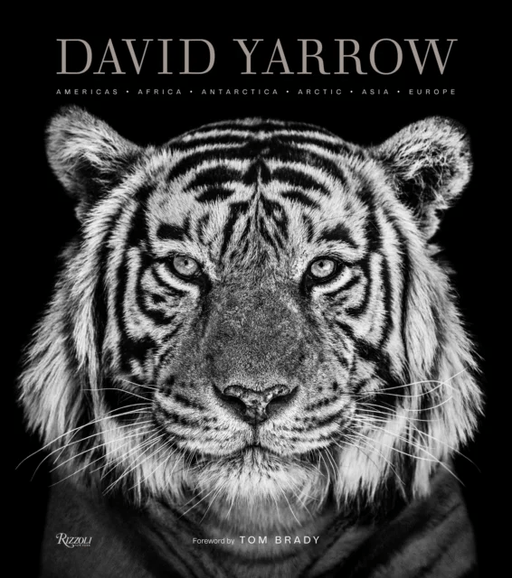 David Yarrow Photography av David Yarrow, Tom Brady