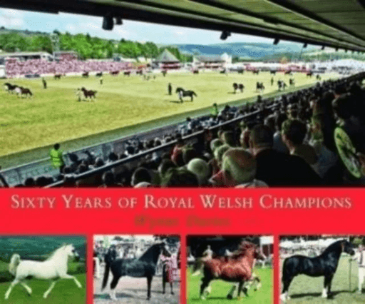 Sixty Years of Royal Welsh Champions av Wynne Davies