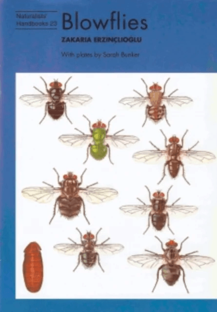 Blowflies av Zakaria Erzinclioglu