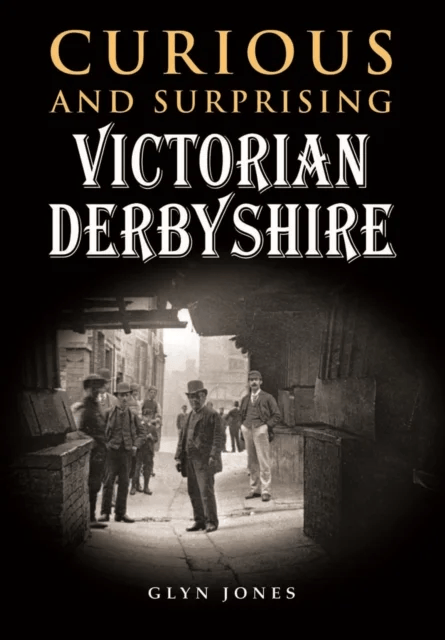 Curious and Surprising Victorian Derbyshire av Glyn Jones