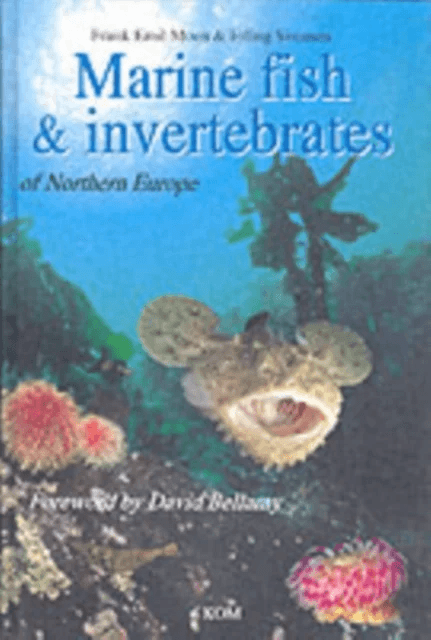 Marine Fish &amp; Invertebrates of Northern Europe av Frank Emil Moen, Erling Svensen