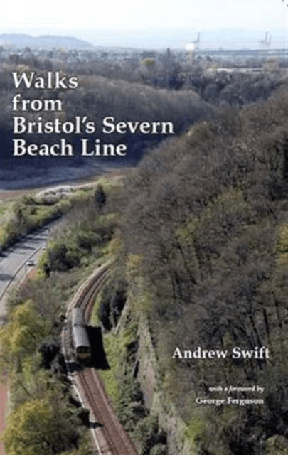 Walks from Bristol's Severn Beach Line av Andrew Swift