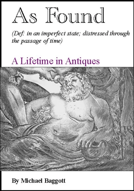 As Found av Michael Baggott